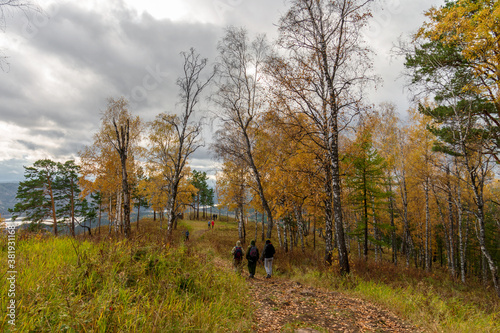 Autumn windy cloudy day has to a leisurely walk with friends or alone and admire the beauty of the withering forest.