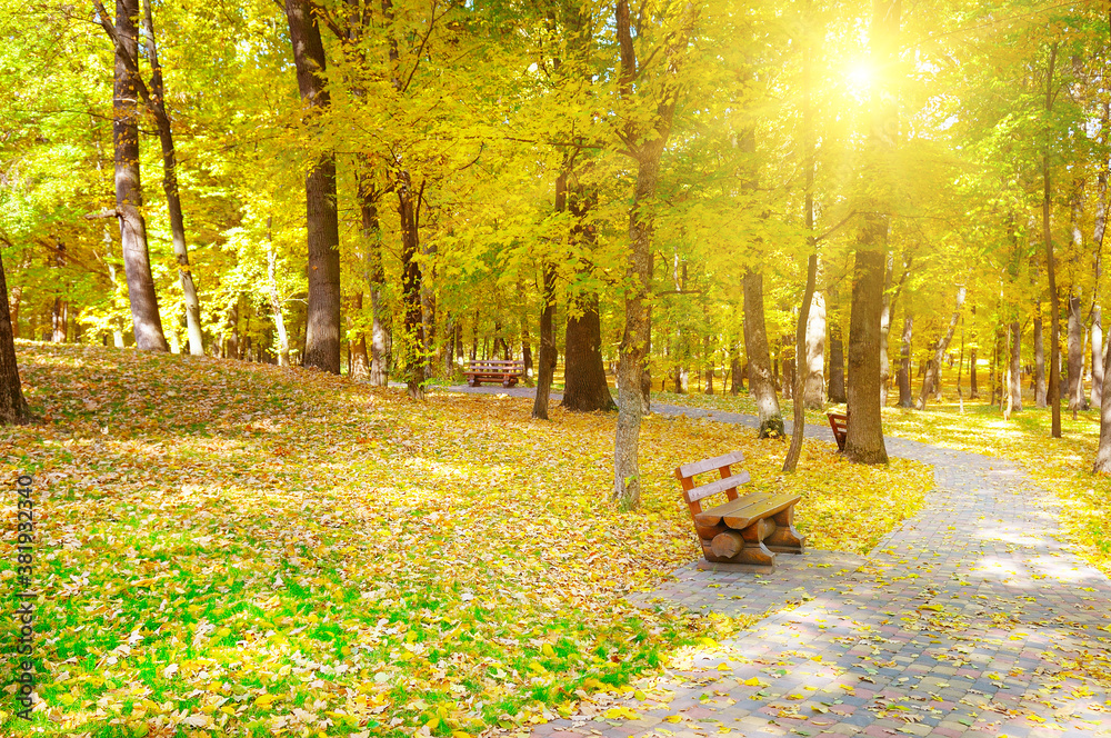 Autumn park, garden bench and bright sun .