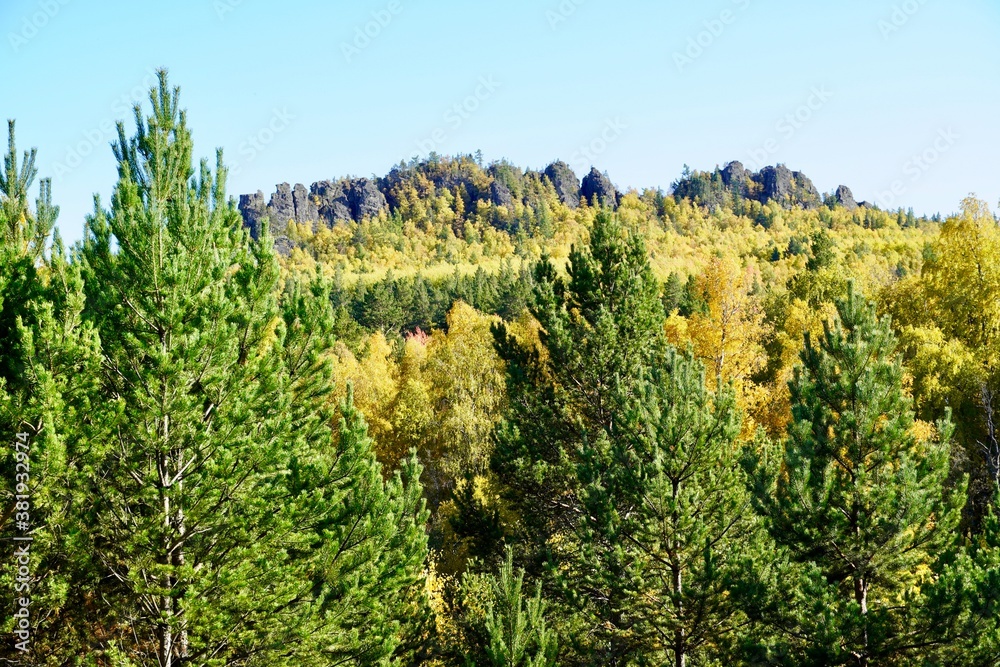 Autumnal Park. Autumn Trees and Leaves. Fall. Golden green orange leaves. Autumnal Park. Autumn Trees and Leaves. Fall. Golden green orange leaves.