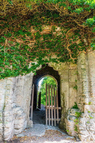 Entrance to an ancient ruin building covered with green creeper plant in Visby Gotland Sweden.
