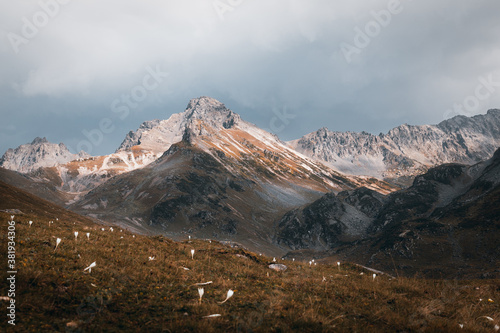 A Moody View of Mountains and Flowers, Kaçkar, Rize