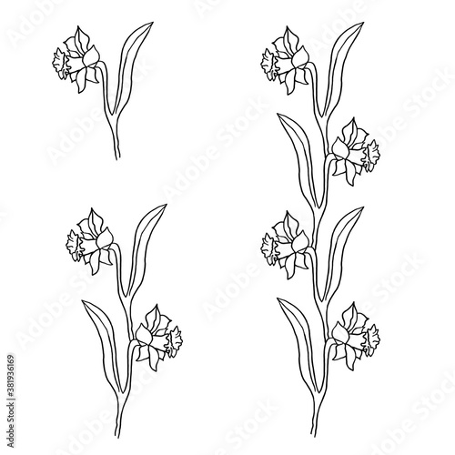 Beautiful flowers on a white isolated background. Design suitable for fabric, wallpaper, wrapping paper, posters.