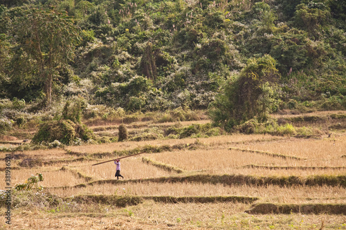 Luang Namtha Laos 12/24/2011 remote traditional tribal region of northwest Laos  photo