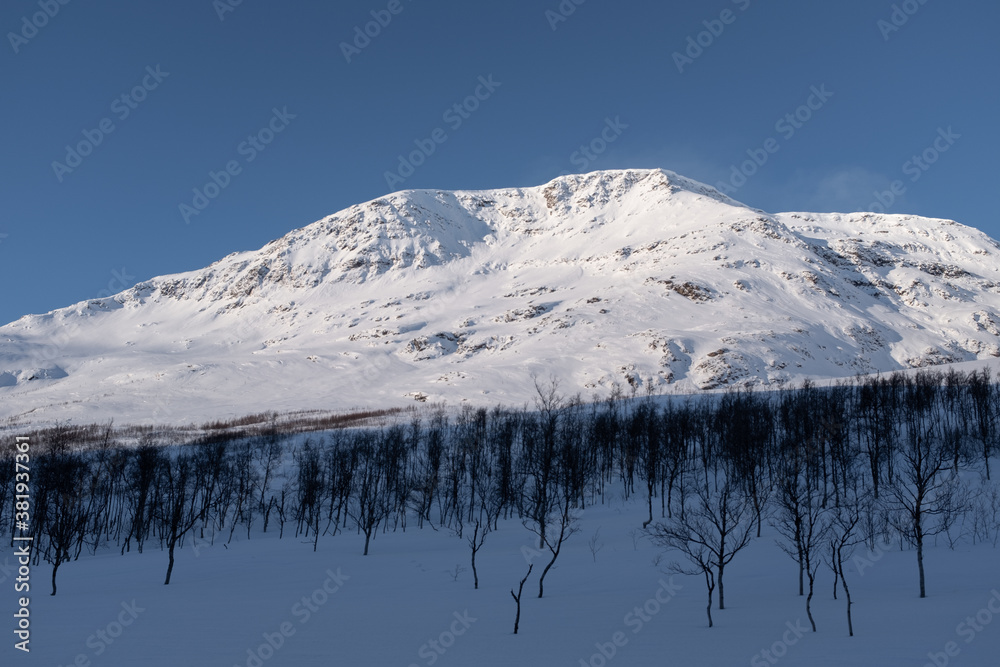 Snowy Norwegian Landscape with Hill