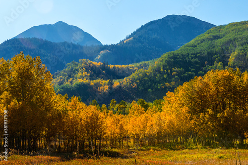 Fototapeta Naklejka Na Ścianę i Meble -  Autumn in Aspen Colorado