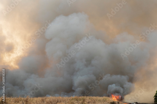 smoke pattern background of fire burn in grass fields