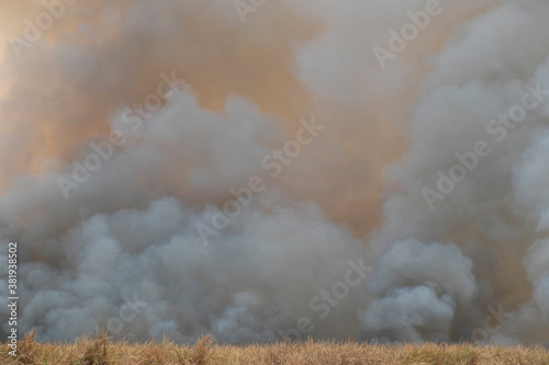 smoke pattern background of fire burn in grass fields