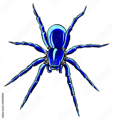 spider steed crossbow scary vector illustration art