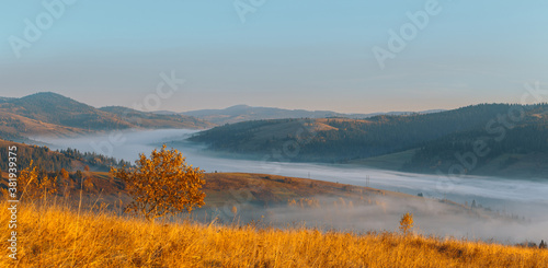 Beautiful panorama of autumn mountains, trees on a mountain hills. Morning fog in valley between mountain slopes.