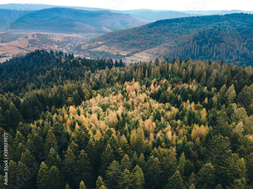 aerial view of autumn forest in mountains © phpetrunina14