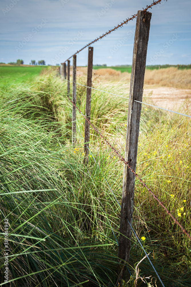 Fototapeta premium Alambre de puas dividiendo las propiedades en el campo argentino