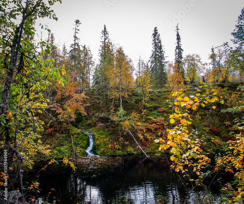 Small pond in forest in autumn