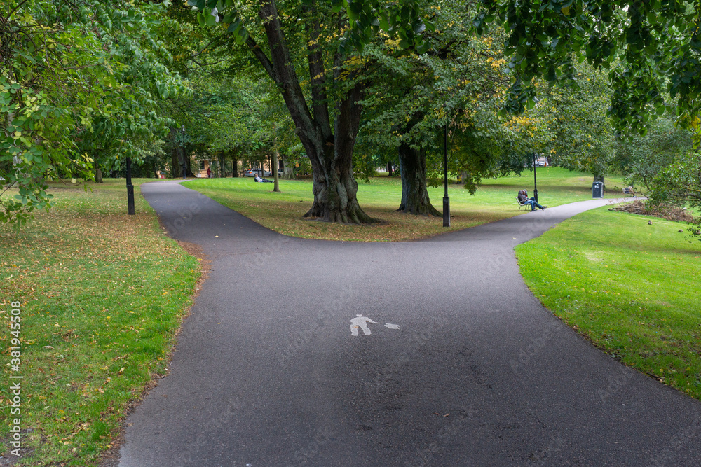 Fototapeta premium park, path, choice, alternative, destiny, separation, symbol, symbolic, nature, green, city, tree, division, urban