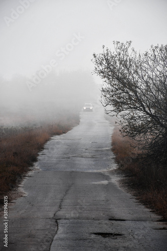 Foggy 