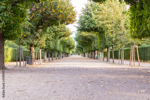 Avenue in Augarten Park in Vienna (Austria) on a nice sunny autumn day
