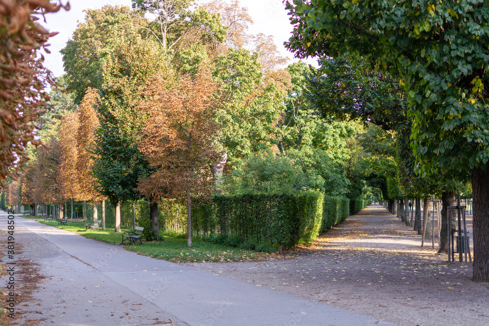 Avenue in Augarten Park in Vienna (Austria) on a nice sunny autumn day