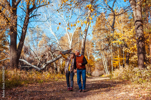 Autumn walk. Senior couple walking in fall forest. Happy man and woman talking and relaxing outdoors