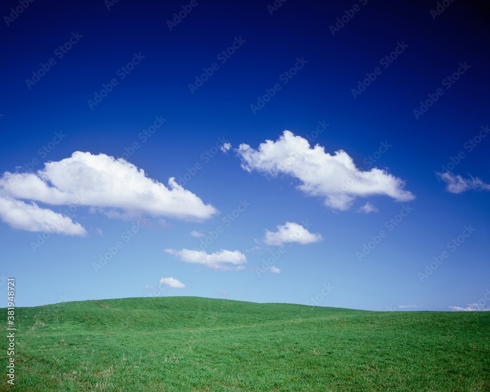 Fototapeta premium 美瑛の丘