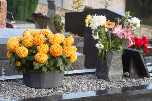 Orange chrysanthemum plants on tombstones for All Saints Day