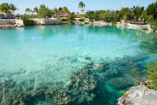 Cozumel Island Fresh Water Lagoon