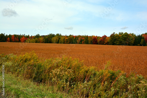 Fall landscape eastern townships Bromont Quebec province Canada