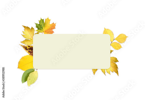 Fototapeta Naklejka Na Ścianę i Meble -  Letterhead template: white sheet of paper with autumn leaves isolated on white background