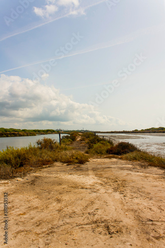 Paraje natural Marismas del Río Piedras y Flecha del Rompido, ciudad de Huelva