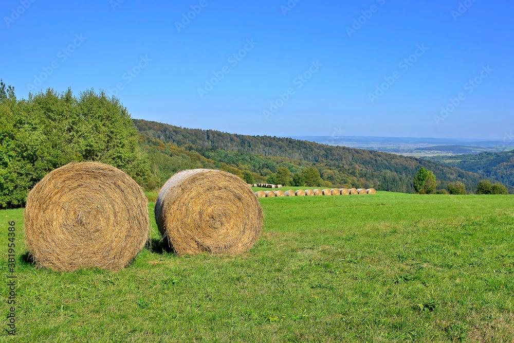 Rural landscape in the Low Beskids Beskid Niski), Poland. 
Round bales of straw in the green meadow.