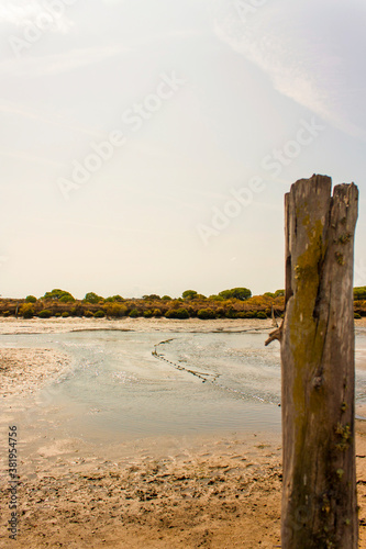 Paraje natural Marismas del Río Piedras y Flecha del Rompido, ciudad de Huelva