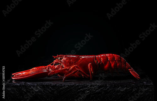 Cooked lobster on slate stone in black background