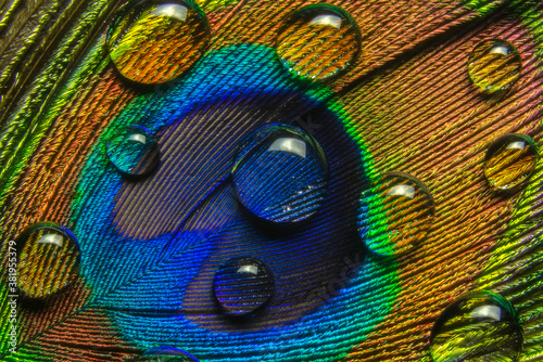 Close-up view of a drops of water