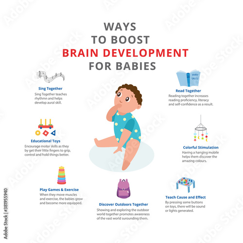 Baby brain development poster, flat cartoon vector illustration isolated