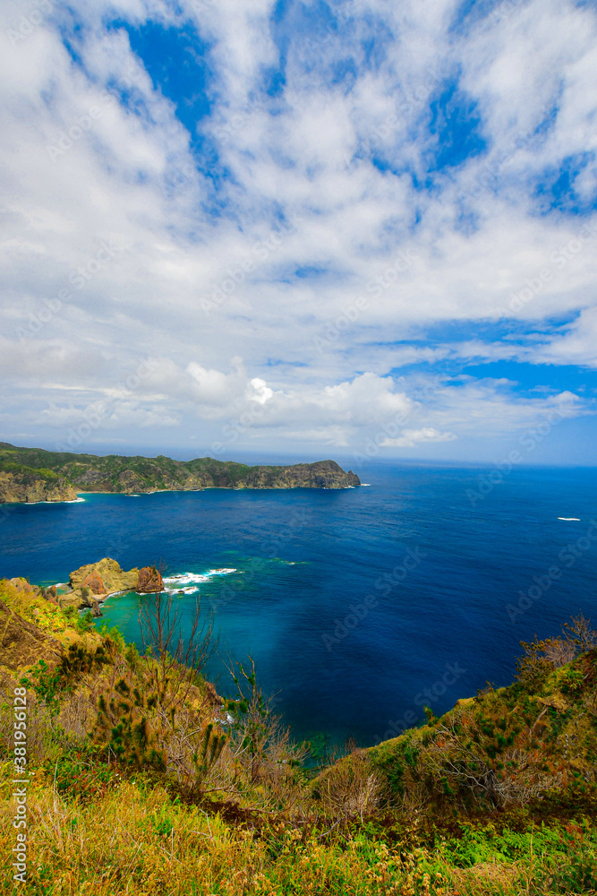 Fototapeta premium 父島の海岸