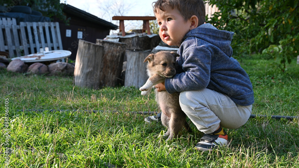 the child carries a small puppy in his arms the child carries a small puppy in his arms