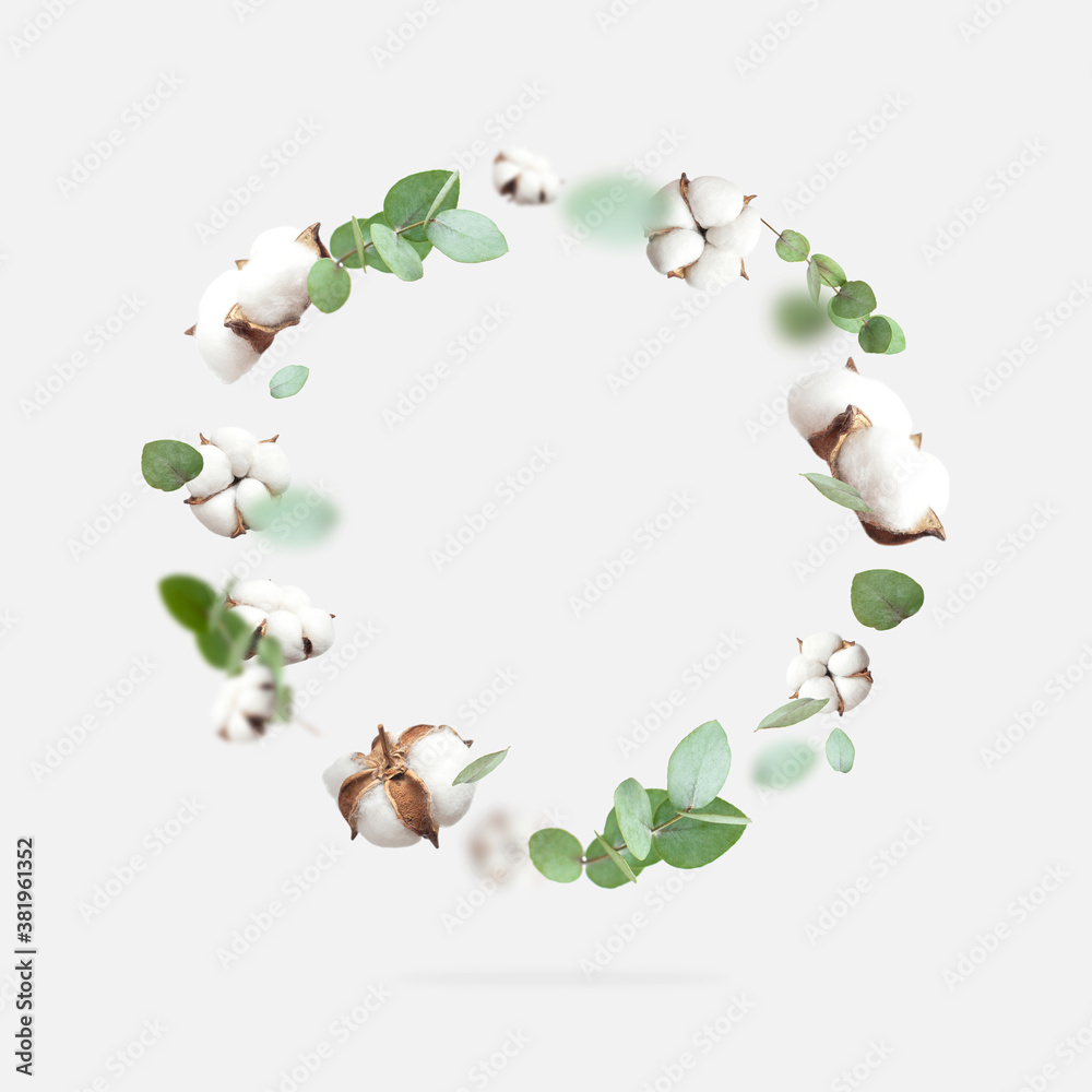Flying cotton flowers, green twigs of eucalyptus round frame on gray background. Creative Floral background with cotton, delicate flowers of fluffy cotton. Flat lay flowers composition, greeting card