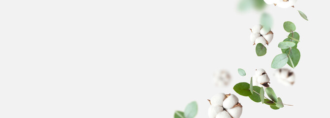 Flying cotton flowers, green twigs of eucalyptus on light gray background. Creative Floral background with cotton, delicate flowers of fluffy cotton. Flat lay flowers composition, greeting card