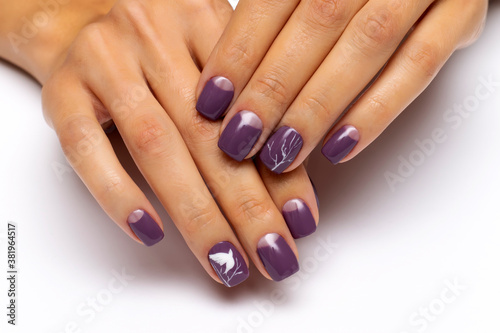 Gel autumn nail design. Purple moon manicure with painted white doves on the nails and white wood with silver on short square nails.