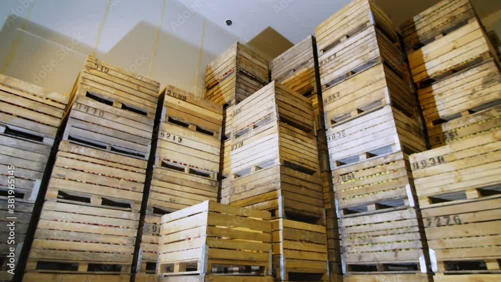 apple storage. warehouse. stacks of wooden crates for fruit, boxes with apples at cold storage warehouse. huge fridge airless storage camera in warehouse. apple harvest apple storage. warehouse. stacks of wooden crates for fruit, boxes with apples at cold storage warehouse. huge fridge airless storage camera in warehouse. apple harvest