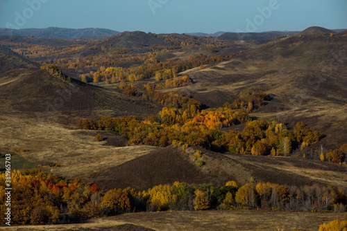 multi-colored-yellow, red and green autumn forest among mountain peaks