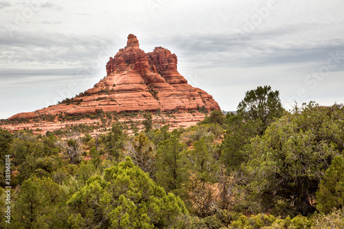 Juniper trees and a formation of huge red sandstone rocks outside the city of Sedona, Arizona.