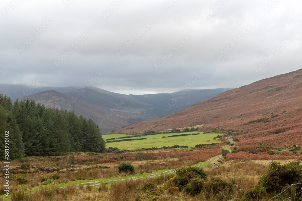Landscape in the mountains. Flora of Ireland. Nature reserve.