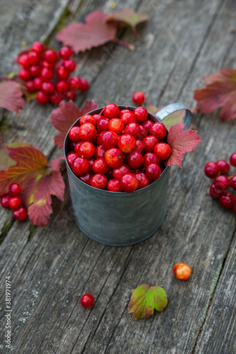 Viburnum berries in an iron mug on a wooden background.