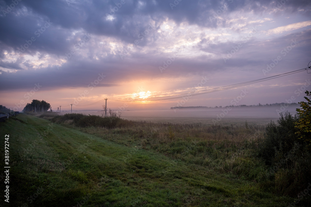 thick morning fog on the highway and yellow-green fields nearby at sunrise