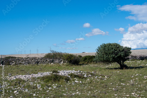 POVLJANA, PAG ISLAND, CROATIA - 29.09.2020. The landscape of the island of Pag. 