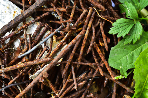 a bunch of rusty nails