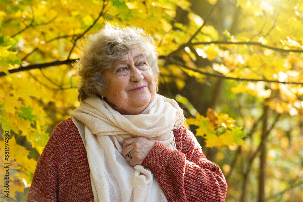 Happy smiling elderly woman, 80 years old, in an autumn park. Happy smiling elderly woman, 80 years old, in an autumn park.