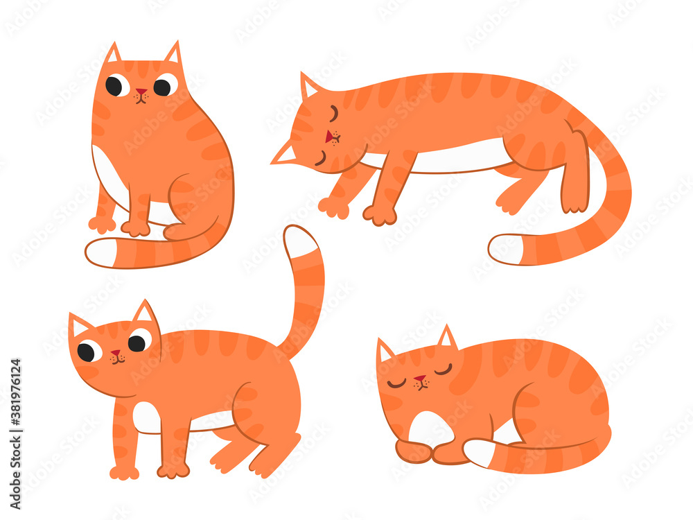 Vector collection of illustration of cute red cat in various poses
