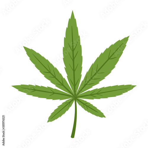 Vector illustration of cannabis leaf isolated on white