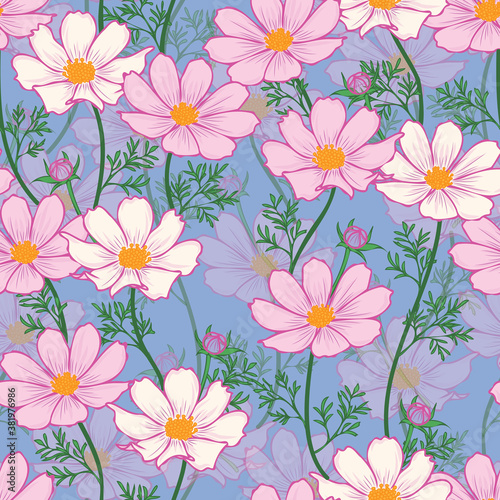 Floral seamless pattern with cosmos flower. Pink flowers on blue background design.