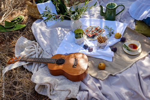 picnic with tea figs olives fruit ukulele vintage tableware in the garden